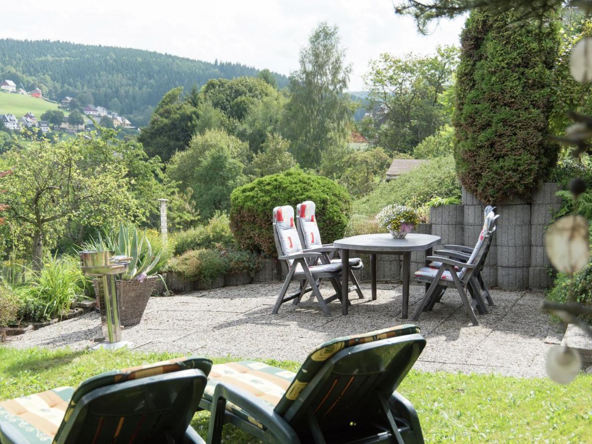 Cozy Apartment In Ore Mountains With Balcony Breitenbrunn  Rum bild