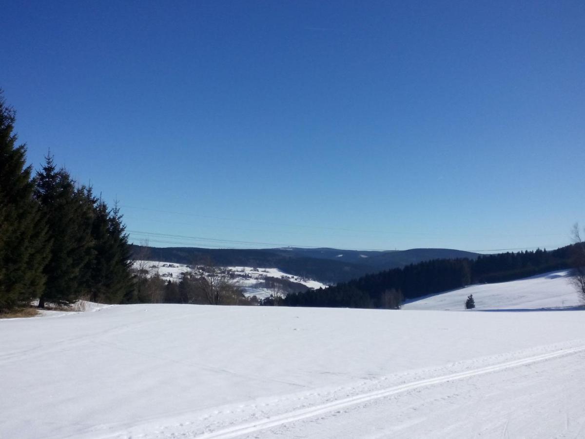 Cozy Apartment In Ore Mountains With Balcony Breitenbrunn  Rum bild
