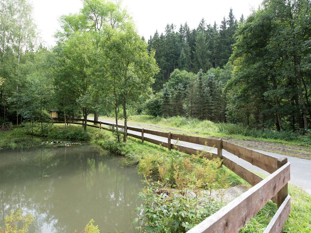 Cozy Apartment In Ore Mountains With Balcony Breitenbrunn  Exteriör bild